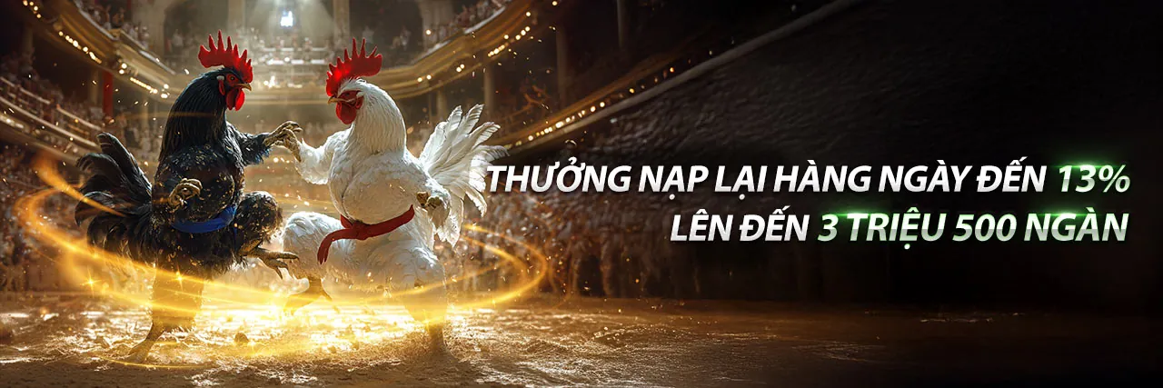 Đá Gà Thomo 9/5/2023 – Trận đấu kịch tính tại Fly88